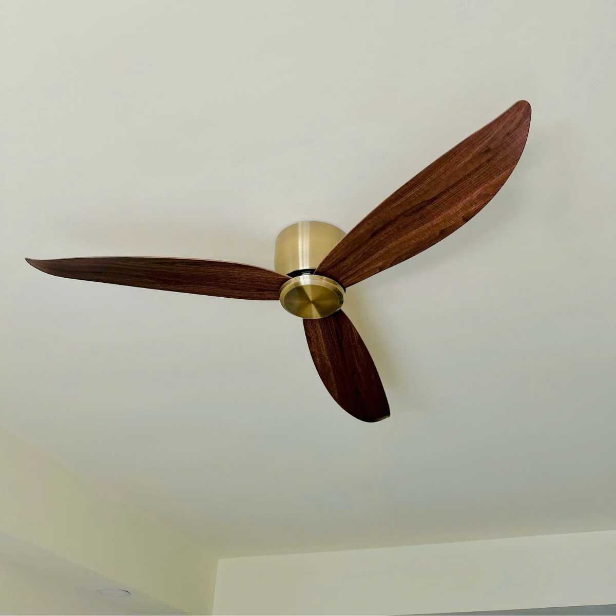 BNN- Quạt Trần Cánh Nhựa ABS Ø1320 | QT31D